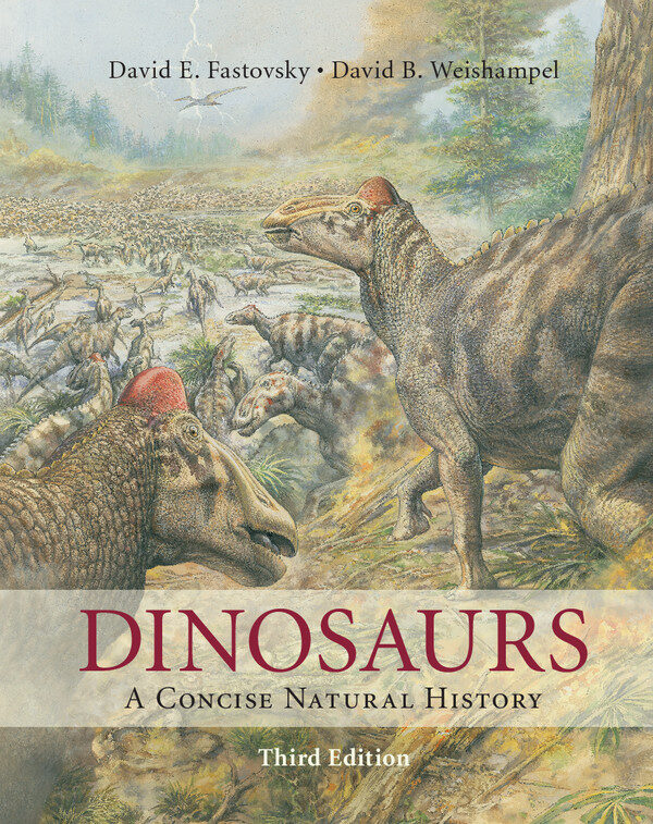 Dinosaurs:A Concise Natural History ebook